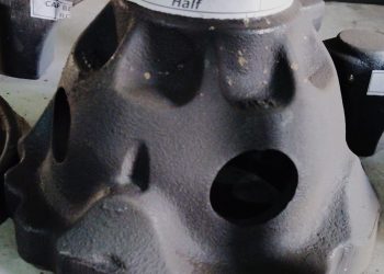 WhatsApp Image 2026-02-11 at 6.19.00 PM (1)