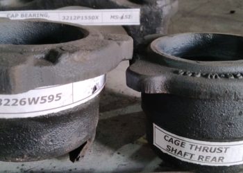 WhatsApp Image 2026-02-11 at 6.19.01 PM (1)