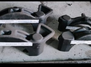 WhatsApp Image 2026-02-11 at 6.19.03 PM