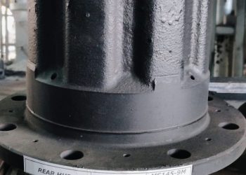 WhatsApp Image 2026-02-11 at 6.19.04 PM